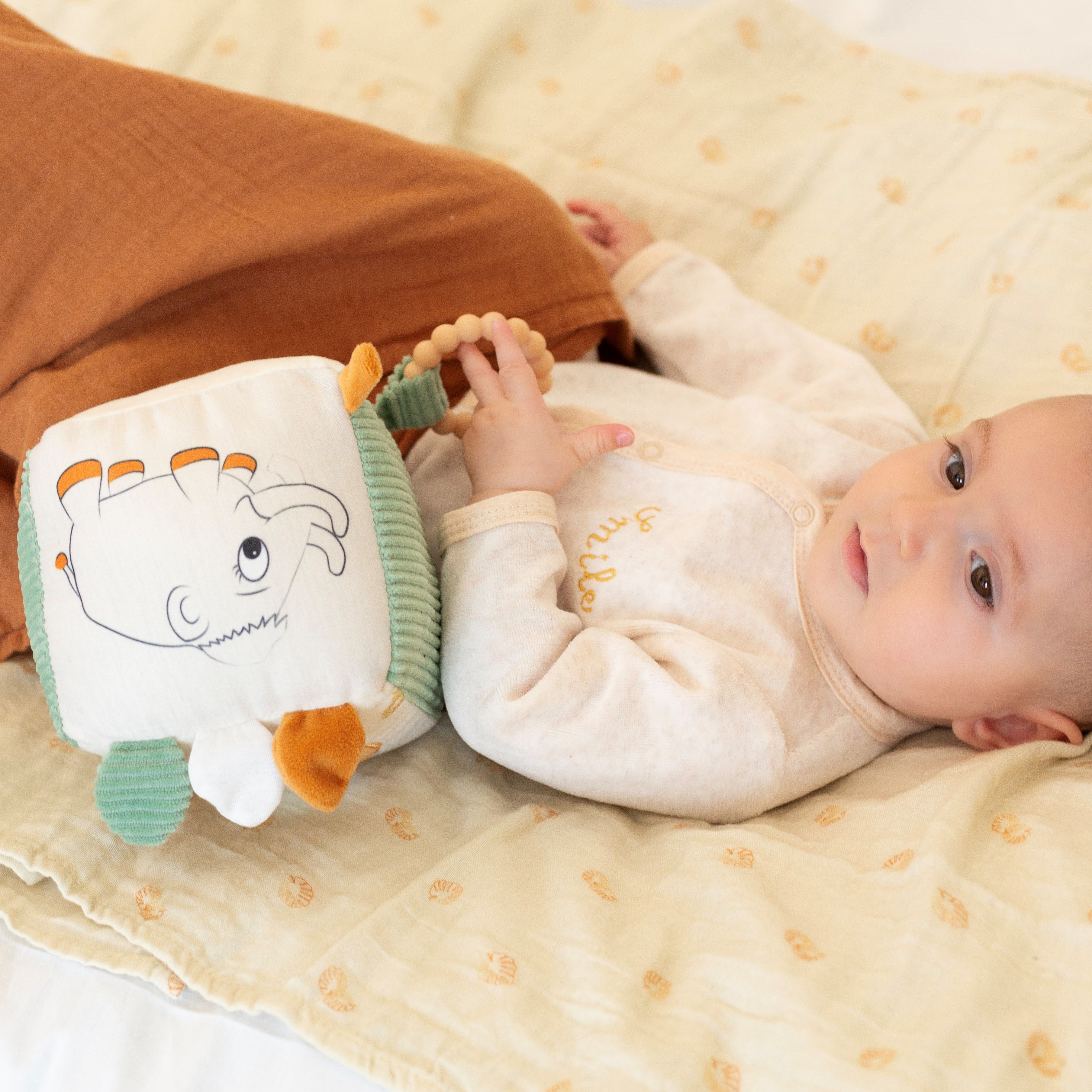 Cube d'éveil DIPLODODO