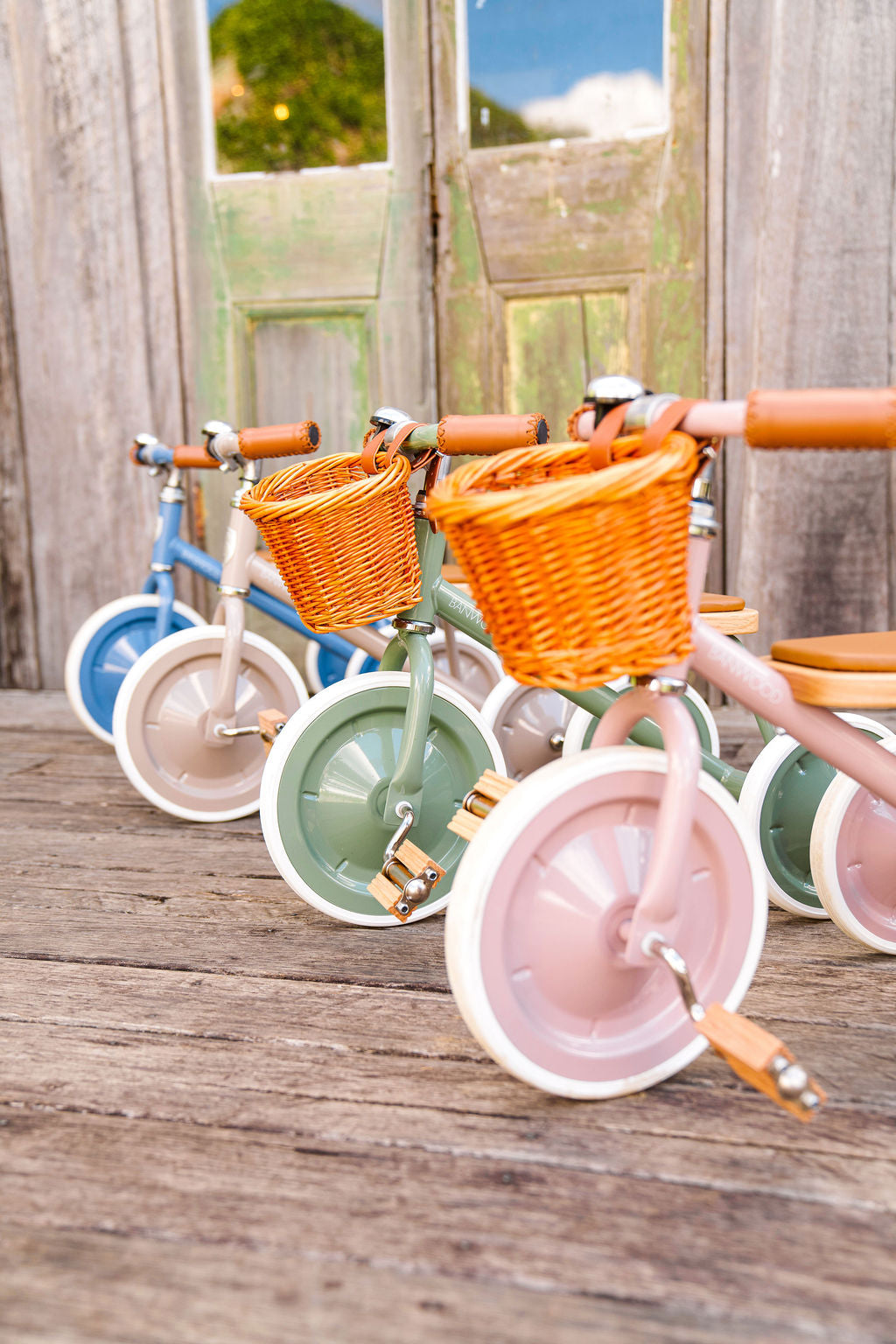 Tricycle Vintage - Forêt